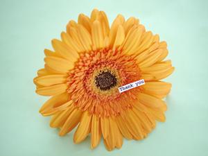 高品質な金箔の選び方と比較ポイント|初心者でもわかる金箔の特徴と活用法